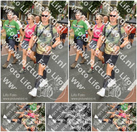 Evenement foto: Nijmeegse Vierdaagse 1027