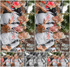 Evenement foto: Nijmeegse Vierdaagse 1027
