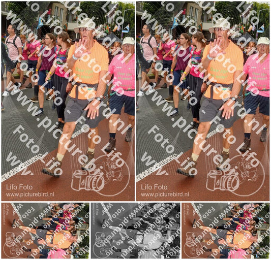 Evenement foto: Nijmeegse Vierdaagse 1027