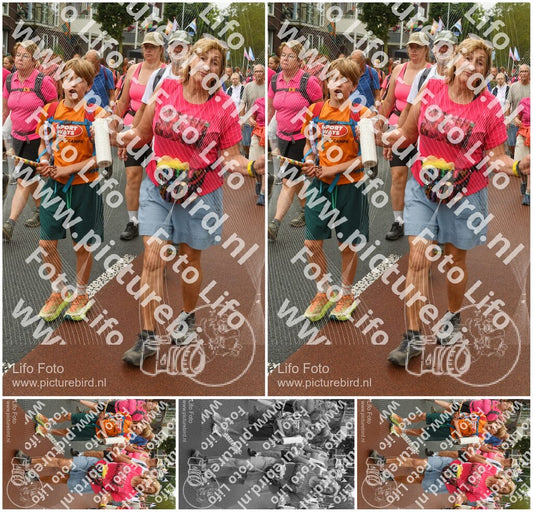 Evenement foto: Nijmeegse Vierdaagse 1027
