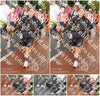 Evenement foto: Nijmeegse Vierdaagse 1026