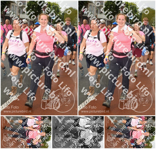 Evenement foto: Nijmeegse Vierdaagse 1026