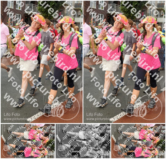 Evenement foto: Nijmeegse Vierdaagse 1026