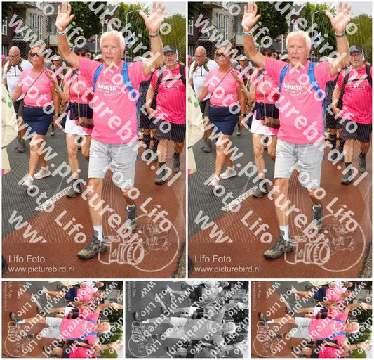 Evenement foto: Nijmeegse Vierdaagse 1026