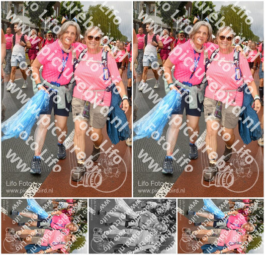 Evenement foto: Nijmeegse Vierdaagse 1026