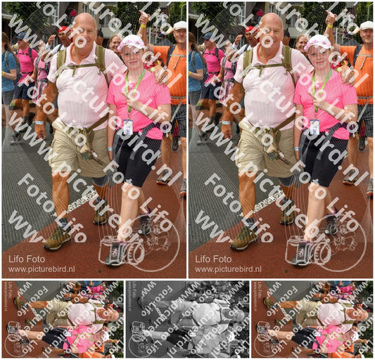 Evenement foto: Nijmeegse Vierdaagse 1026