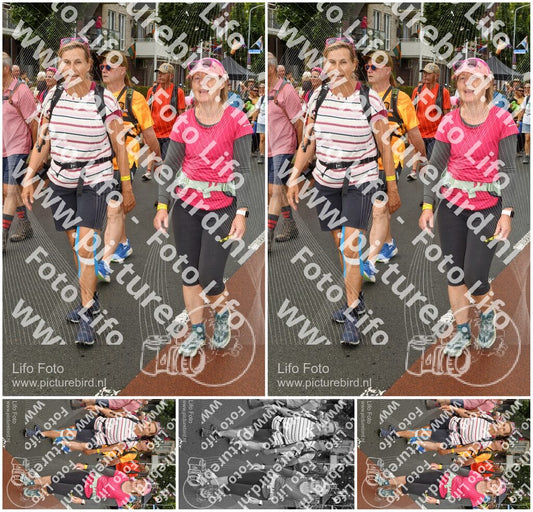 Evenement foto: Nijmeegse Vierdaagse 1026