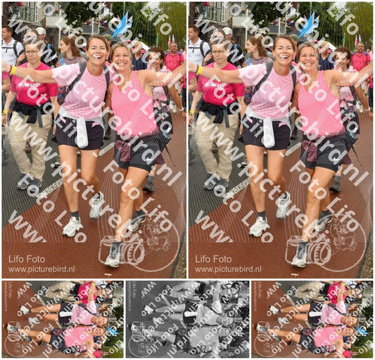 Evenement foto: Nijmeegse Vierdaagse 1026