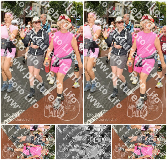 Evenement foto: Nijmeegse Vierdaagse 1026