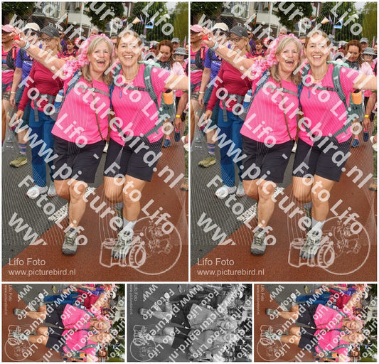 Evenement foto: Nijmeegse Vierdaagse 1026