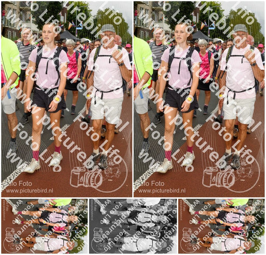 Evenement foto: Nijmeegse Vierdaagse 1026