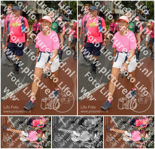 Evenement foto: Nijmeegse Vierdaagse 1026