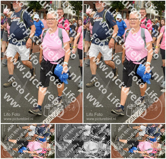 Evenement foto: Nijmeegse Vierdaagse 1026