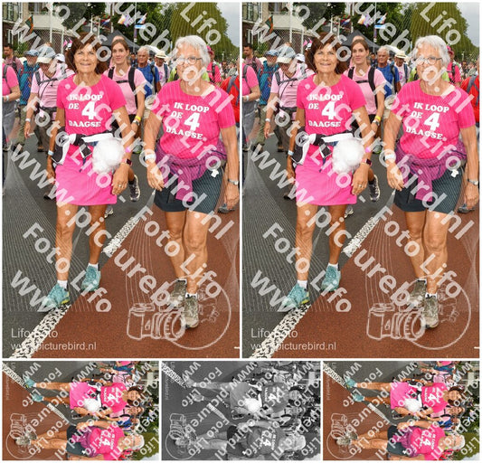 Evenement foto: Nijmeegse Vierdaagse 1026