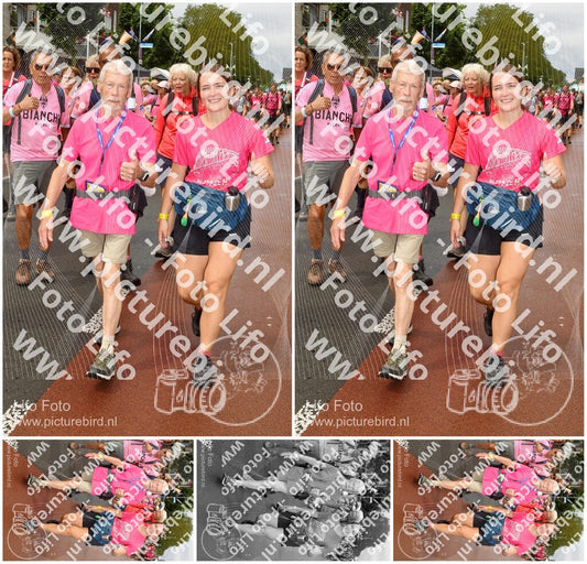 Evenement foto: Nijmeegse Vierdaagse 1025
