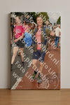 Evenement foto: Nijmeegse Vierdaagse 1025