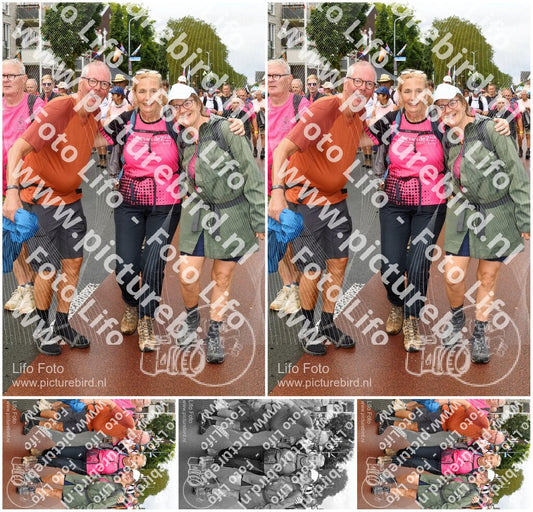 Evenement foto: Nijmeegse Vierdaagse 1025
