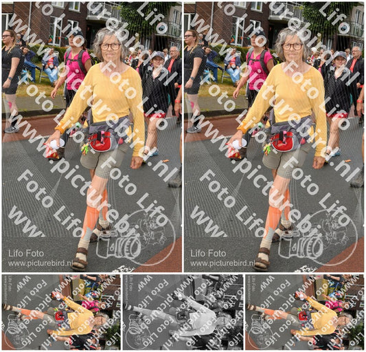 Evenement foto: Nijmeegse Vierdaagse 1025