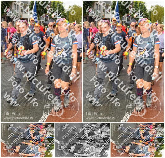 Evenement foto: Nijmeegse Vierdaagse 1025
