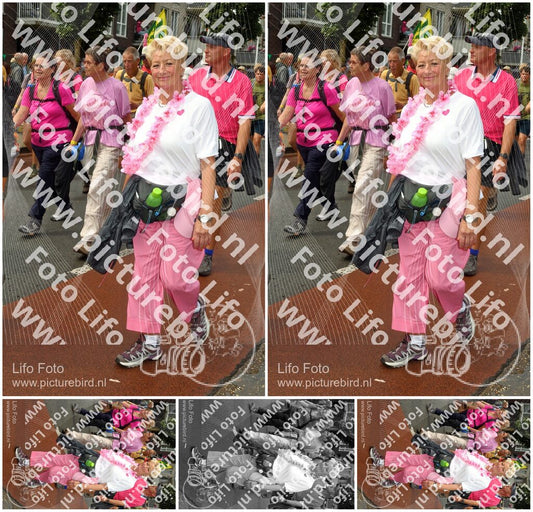 Evenement foto: Nijmeegse Vierdaagse 1025