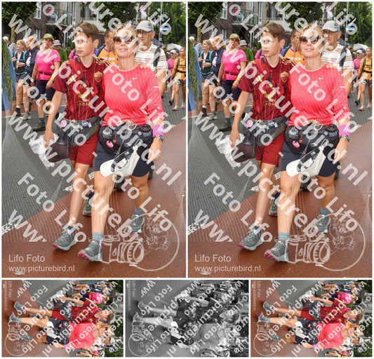 Evenement foto: Nijmeegse Vierdaagse 1025