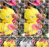 Evenement foto: Nijmeegse Vierdaagse 1025