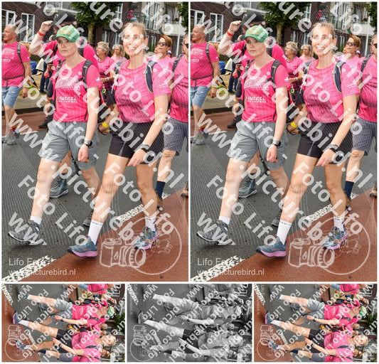 Evenement foto: Nijmeegse Vierdaagse 1025