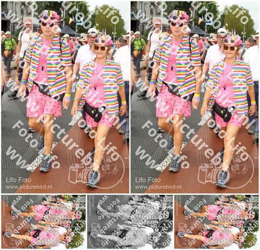 Evenement foto: Nijmeegse Vierdaagse 1025