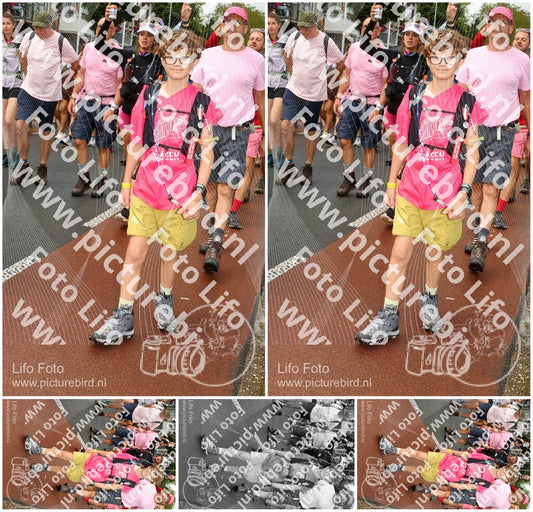 Evenement foto: Nijmeegse Vierdaagse 1025