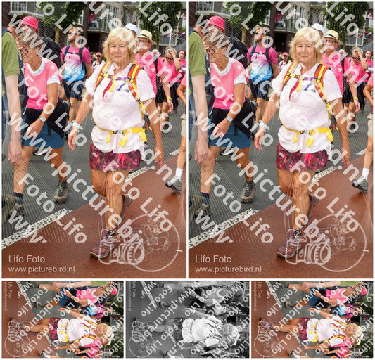 Evenement foto: Nijmeegse Vierdaagse 1025