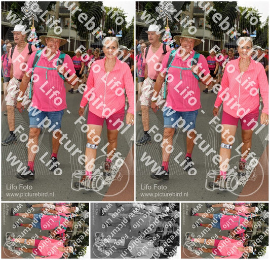 Evenement foto: Nijmeegse Vierdaagse 1024