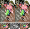 Evenement foto: Nijmeegse Vierdaagse 1024
