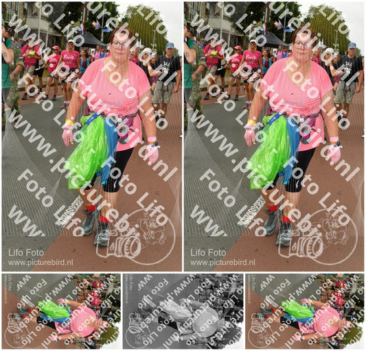 Evenement foto: Nijmeegse Vierdaagse 1024