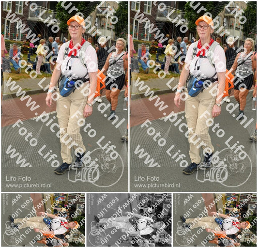 Evenement foto: Nijmeegse Vierdaagse 1024