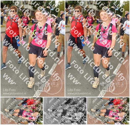 Evenement foto: Nijmeegse Vierdaagse 1024