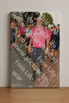 Evenement foto: Nijmeegse Vierdaagse 1024