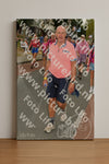 Evenement foto: Nijmeegse Vierdaagse 1024