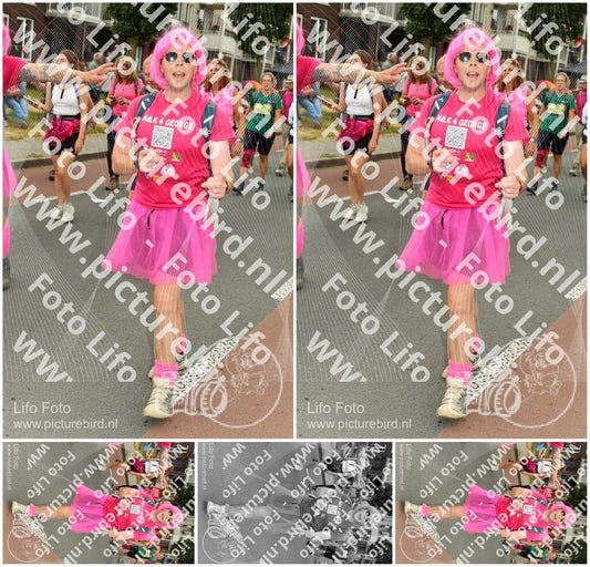 Evenement foto: Nijmeegse Vierdaagse 1024
