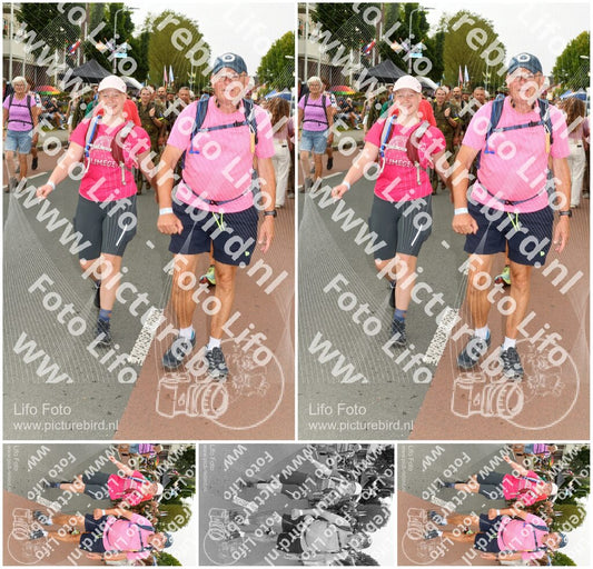 Evenement foto: Nijmeegse Vierdaagse 1024