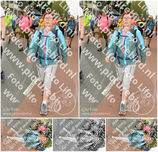 Evenement foto: Nijmeegse Vierdaagse 1024