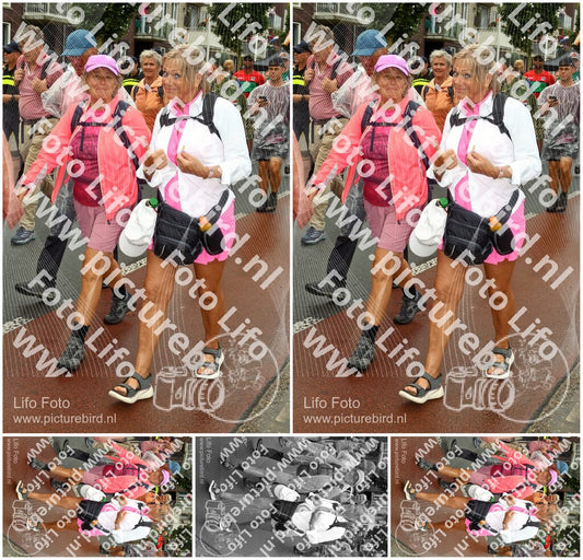 Evenement foto: Nijmeegse Vierdaagse 1024