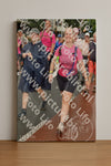 Evenement foto: Nijmeegse Vierdaagse 1024