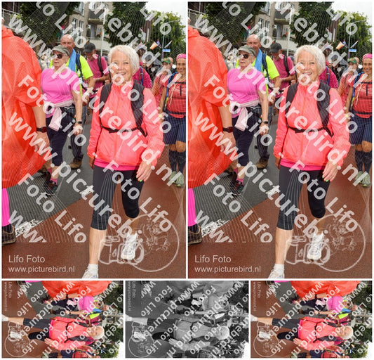 Evenement foto: Nijmeegse Vierdaagse 1024