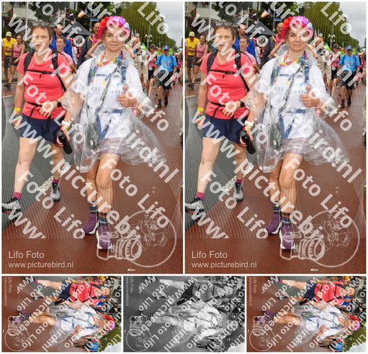 Evenement foto: Nijmeegse Vierdaagse 1024