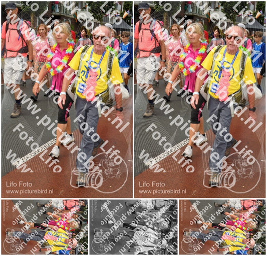 Evenement foto: Nijmeegse Vierdaagse 1024