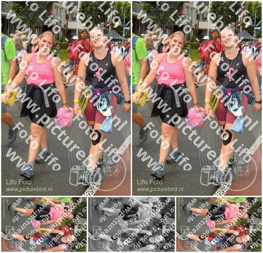 Evenement foto: Nijmeegse Vierdaagse 1024