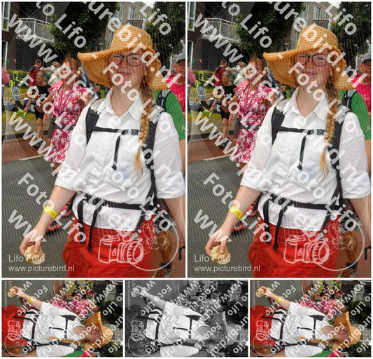 Evenement foto: Nijmeegse Vierdaagse 1024
