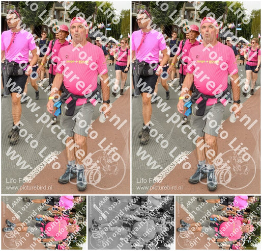 Evenement foto: Nijmeegse Vierdaagse 1023