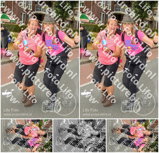 Evenement foto: Nijmeegse Vierdaagse 1023