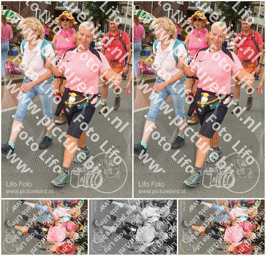 Evenement foto: Nijmeegse Vierdaagse 1023